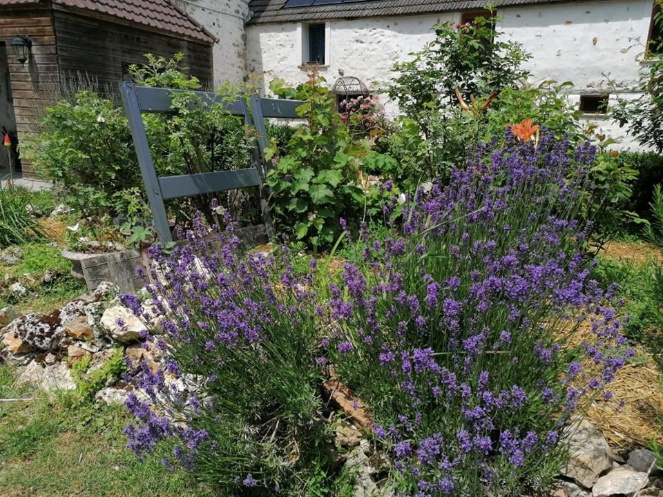 Hotellerie Jardiniers Gourmands Morsains Exterior foto