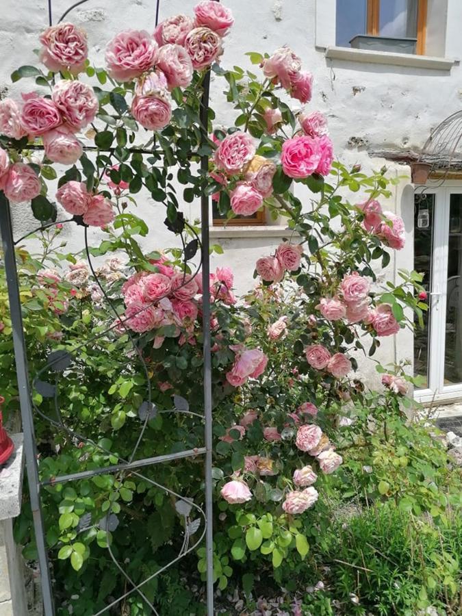 Hotellerie Jardiniers Gourmands Morsains Exterior foto